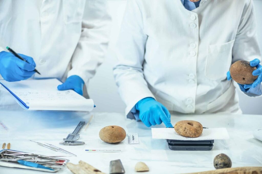 what is food safety compliance